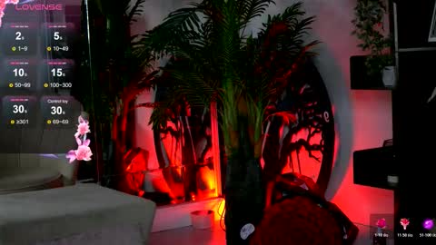 Vivi online show from 19, 11, 2025