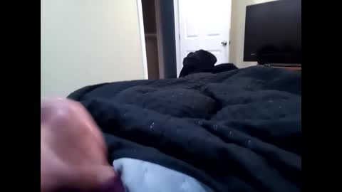 vladedivac1998 online show from 23, 9, 2025