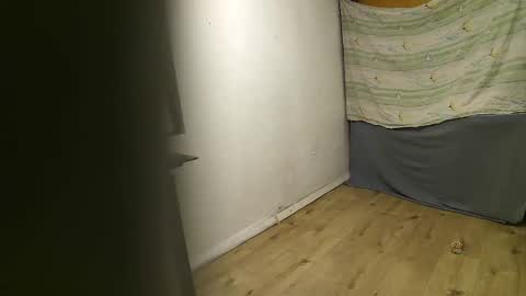 vpetkah online show from 4, 11, 2025