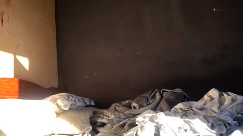 vulgorobson6 online show from 18, 4, 2026