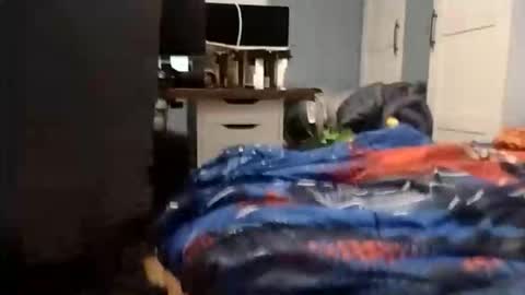 Wakarimashita01 online show from 3, 12, 2025