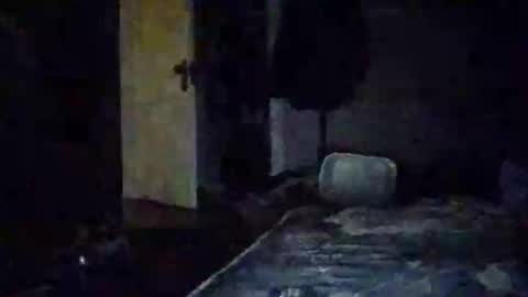 Walter online show from 14, 11, 2025