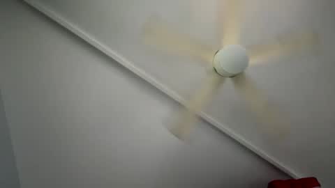 Snapshot of wan2cum4you chatting on 1, 2, 2025 wan2cum4you online show from 1, 2, 2025