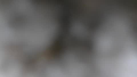 wantmymantofukme online show from 21, 10, 2025