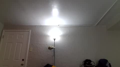 wantstoperform online show from 12, 1, 2026