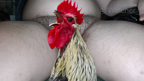 Snapshot of watcher_9 chatting on 8, 12, 2024 classified online show from 8, 12, 2024