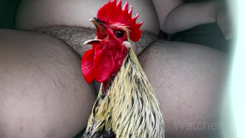 Snapshot of watcher_9 chatting on 7, 10, 2025 classified online show from 7, 10, 2025