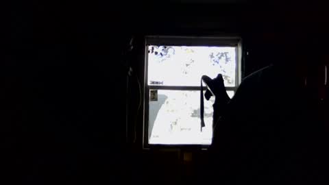 waterfire420 online show from 5, 1, 2025