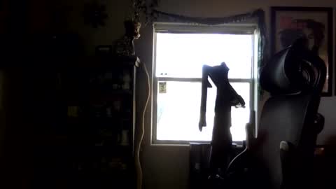 waterfire420 online show from 12, 2, 2025