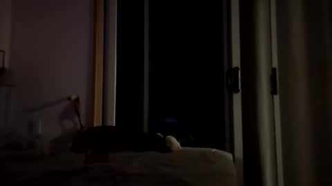 watershed111111 online show from 14, 1, 2026