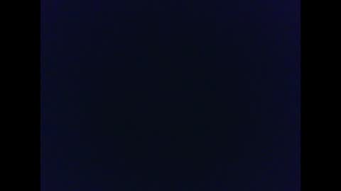 wel03peter online show from 14, 12, 2024