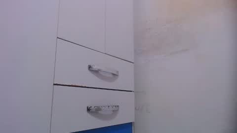 wellingtont online show from 17, 11, 2025