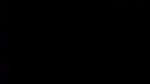 wellingtont online show from 1, 2, 2026