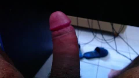 wellingtont online show from 22, 3, 2026