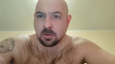 Snapshot of werewolfalfa1 chatting on 23, 11, 2025 AlphaStars online show from 23, 11, 2025