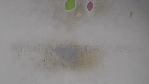 Snapshot of wet_pussy200 chatting on 4, 7, 2026 Bella online show from 4, 7, 2026