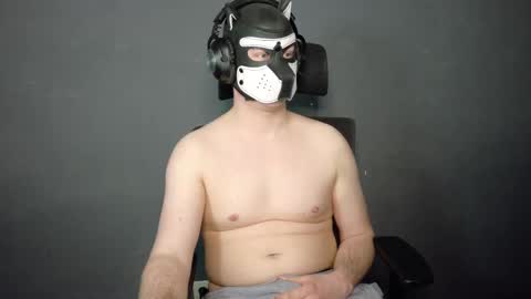 white_pup online show from 26, 2, 2026