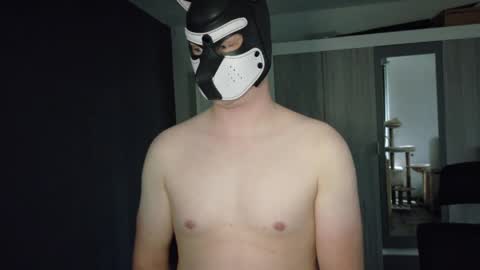 white_pup online show from 4, 5, 2026
