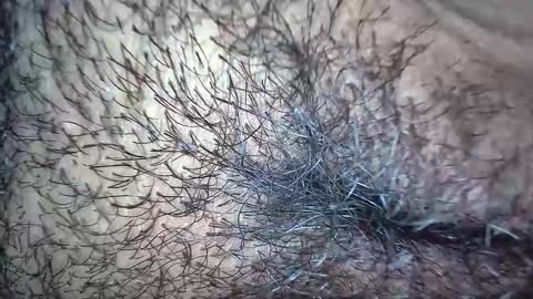 white_sexy_ online show from 20, 11, 2025