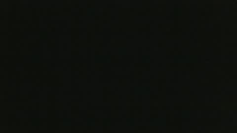 whitehead_lion online show from 19, 10, 2025