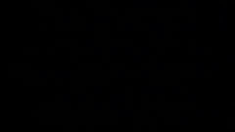 whitehead_lion online show from 4, 2, 2026