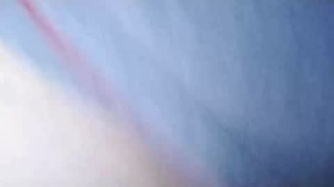 Whitezilla20cm online show from 6, 12, 2024