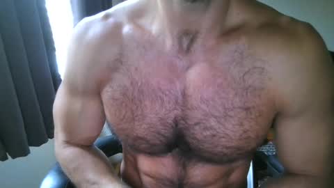 AC Flex online show from 28, 7, 2026