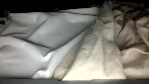 wholesomebull00 online show from 27, 2, 2025