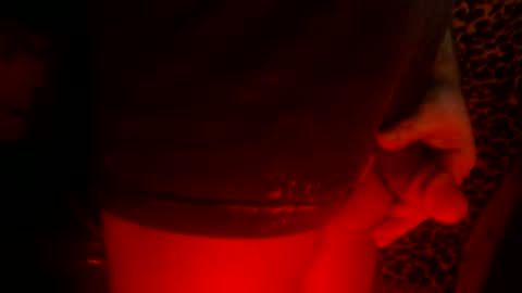 whor4mor online show from 24, 2, 2025