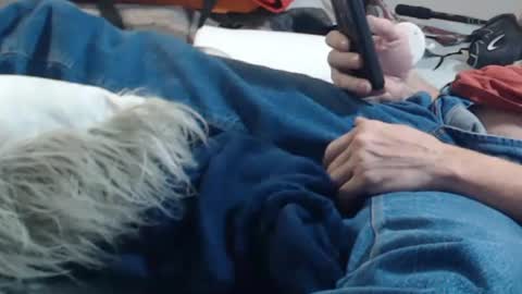 Snapshot of wilbur1440 chatting on 29, 1, 2025 my cock is soft share your cam online show from 29, 1, 2025