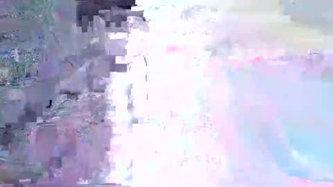 wild lemont online show from 1, 11, 2025