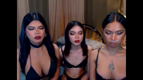 wildara online show from 22, 10, 2025