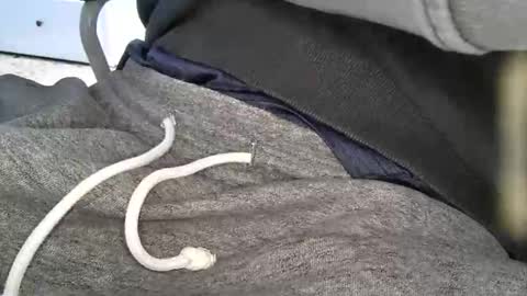 Wildeassumption online show from 28, 4, 2026