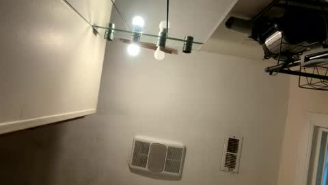 wildwildweed online show from 30, 11, 2025