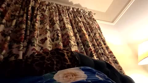 wildwills online show from 8, 6, 2026