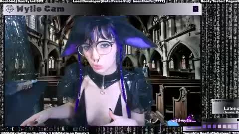 Snapshot of wildwylie chatting on 31, 1, 2025 Wylie Wanderlust online show from 31, 1, 2025