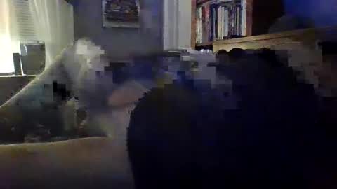 Snapshot of williehardwood chatting on 5, 10, 2025 Willie Hardwood online show from 5, 10, 2025