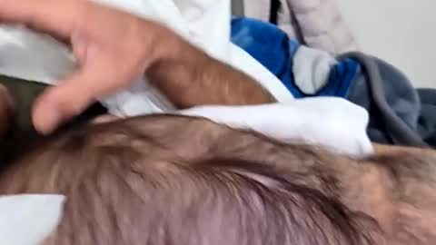 willing_joeking online show from 22, 10, 2025