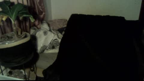 Call me Babe online show from 18, 12, 2024