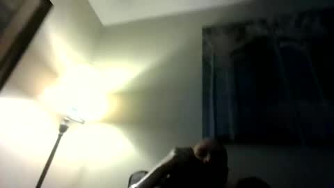 Willhedoher online show from 1, 3, 2026