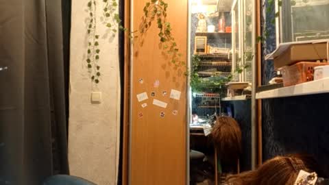 Snapshot of willodeanheitner chatting on 11, 2, 2026 Phoebe online show from 11, 2, 2026