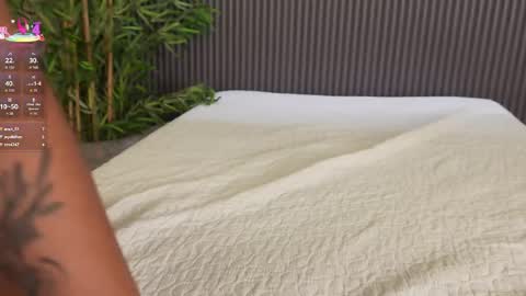 Ms Willow online show from 15, 4, 2026