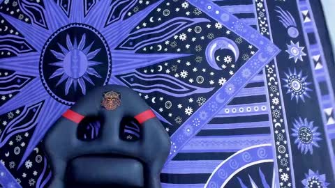 willy_veins online show from 13, 12, 2024