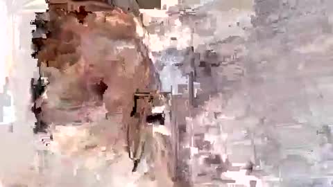 willytal2025 online show from 13, 1, 2026