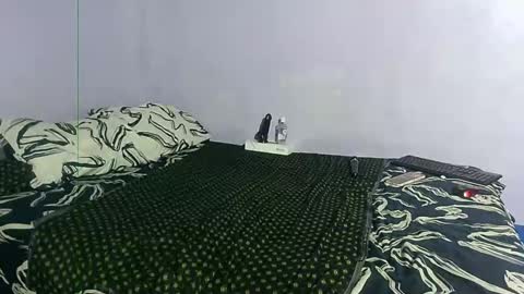 wilmaassylum online show from 27, 12, 2024