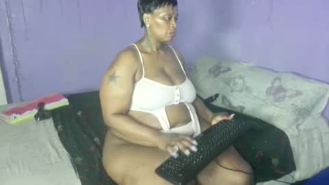 wilmaassylum online show from 20, 9, 2025