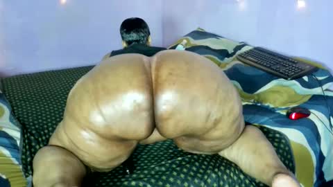 wilmaassylum online show from 21, 11, 2025