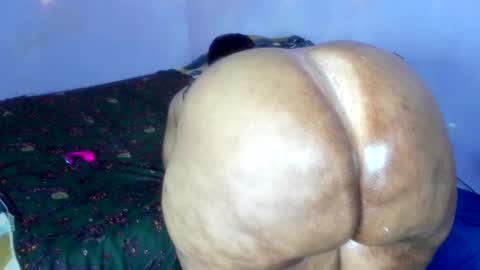 wilmaassylum online show from 1, 12, 2025