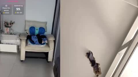 CN WEIWEI online show from 4, 3, 2026