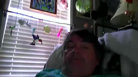 wldlife online show from 28, 5, 2026